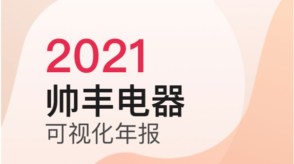 2021年帥豐電器可視化年報(bào)