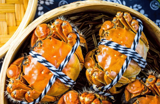 嗨翻618|鎖定帥豐直播間，開啟視覺+味覺盛宴！