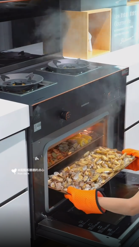 帥豐X6集成灶爆火出圈！抖音、小紅書達人合力推薦！