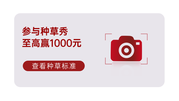 集成灶十大品牌帥豐電器雙11即刻出發(fā)，狂歡先人一步??！