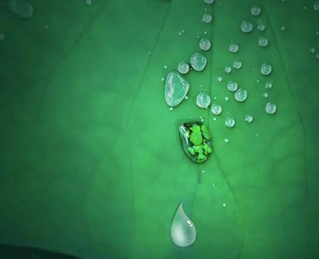 帥豐集成灶易清潔的秘密，探索晶鋼王面板的神奇“魔法”