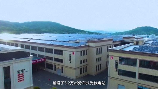 護(hù)生態(tài)，行低碳，集成灶品牌帥豐在行動！