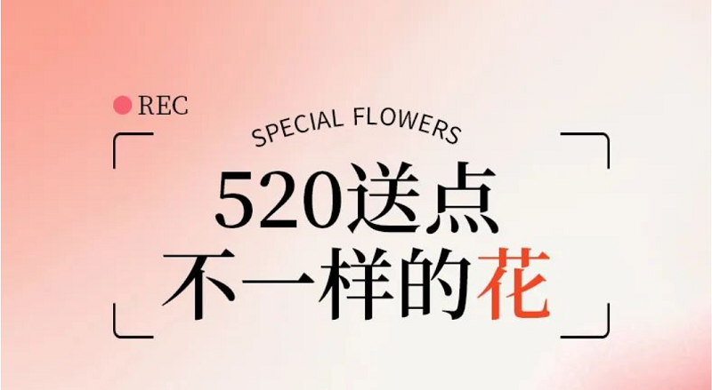  520送點不一樣的“花”吧