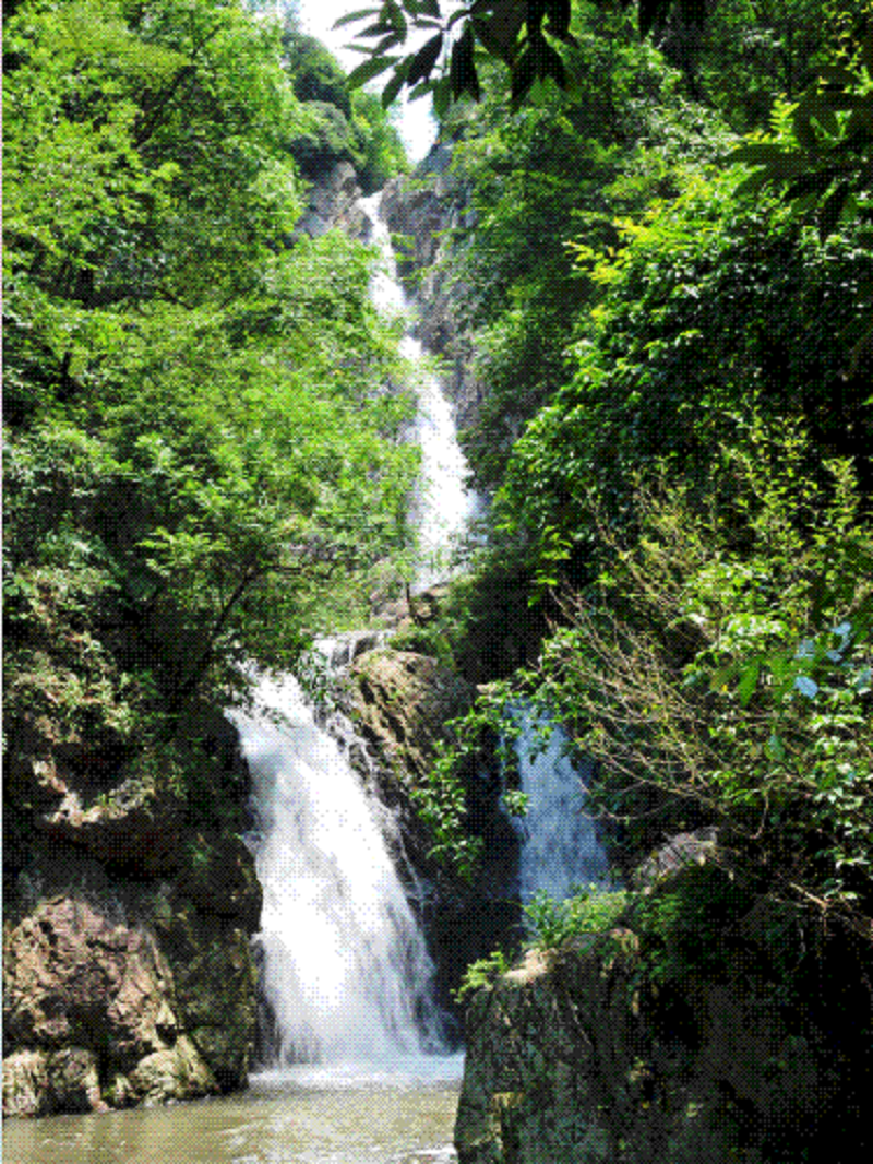 定了！定了?。涁S電器獨(dú)家冠名的氧氣BAOBAO音樂(lè)節(jié)來(lái)啦！