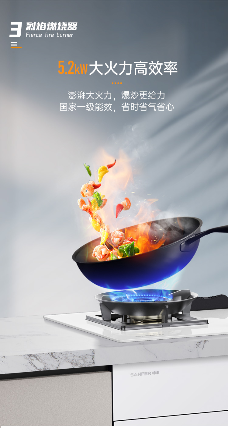 帥豐G5 歸·愛(ài) 蒸烤獨(dú)立集成烹飪中心