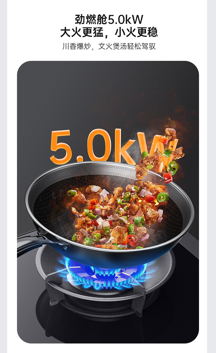 帥豐理想L3蒸烤獨立集成灶