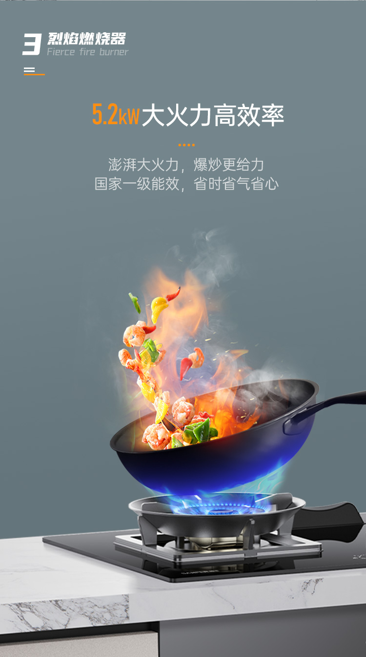 帥豐G3 歸·愛(ài) 蒸烤獨(dú)立集成烹飪中心