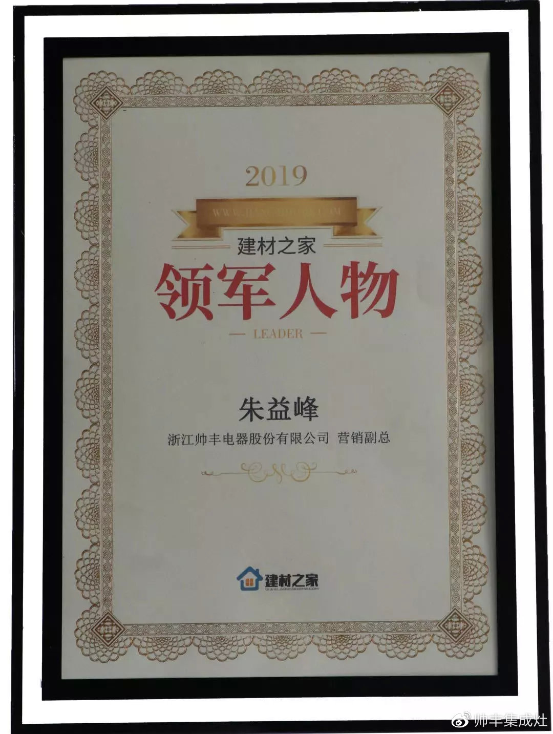 2019年多次上榜十大品牌，帥豐引領行業(yè)風向標