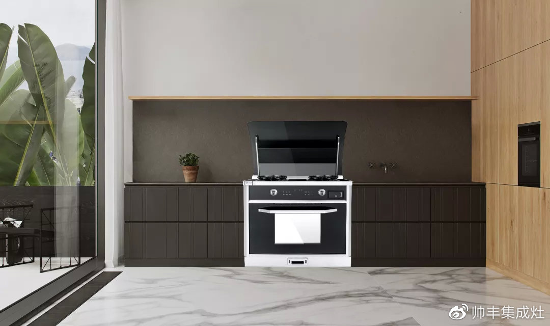 帥豐攜手海清登上《卷宗》家居創(chuàng)刊號，V9蒸烤一體演繹集成灶新風尚