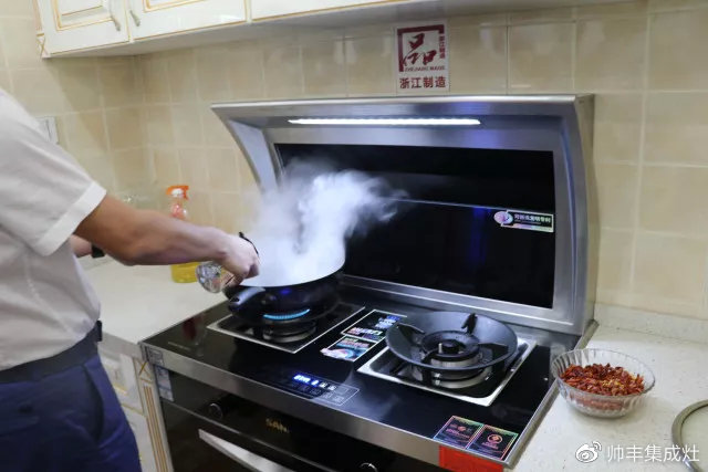 中國集成灶考察團蒞臨帥豐，專業(yè)品質贏盛贊