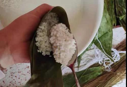 端午節(jié)快到了！今天帥豐電器就來挑戰(zhàn)一下，煮100個(gè)粽子需要多久？