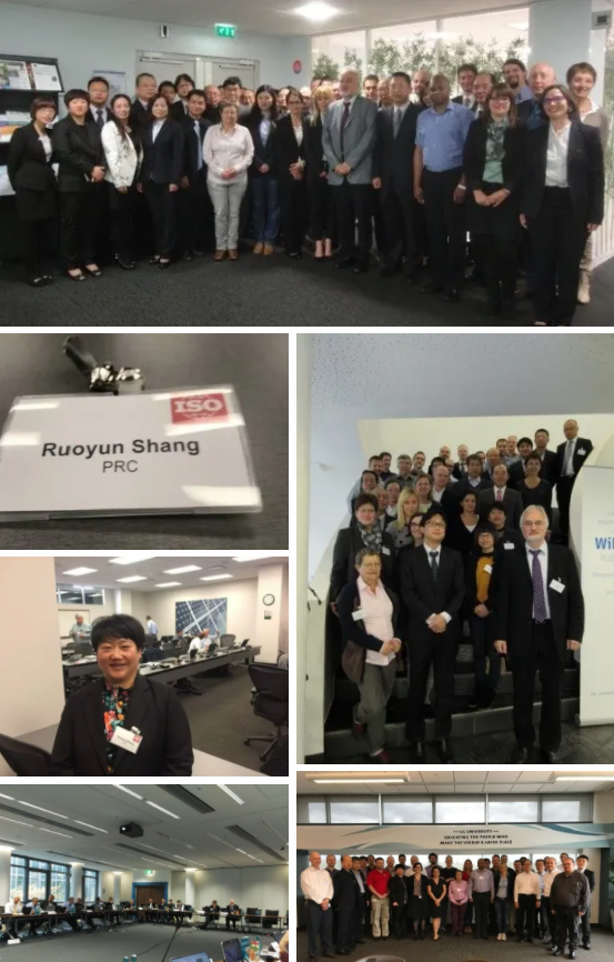 科技創(chuàng)新、標(biāo)準(zhǔn)引領(lǐng)、服務(wù)賦能，帥豐集成灶“奪冠”2021新增市場(chǎng)